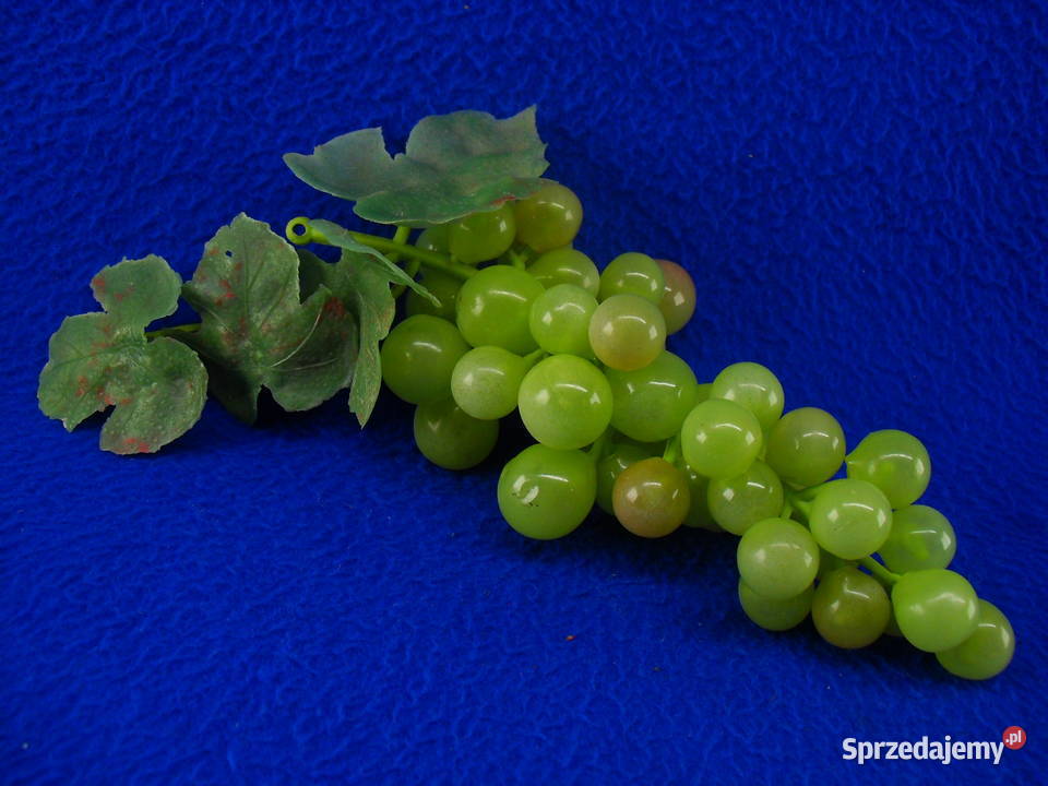 WINOGRONA DEKORACYJNE Wyposażenie wnętrz Bielawa