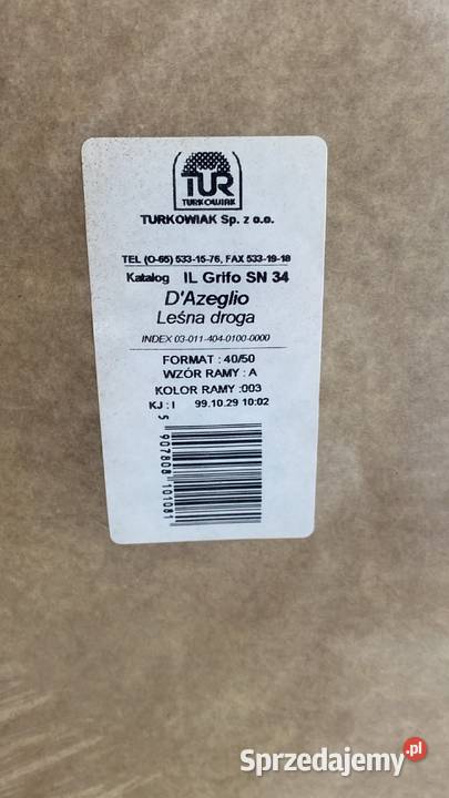 Obraz Lesna drogaDAzeglio lubelskie Lublin sprzedam