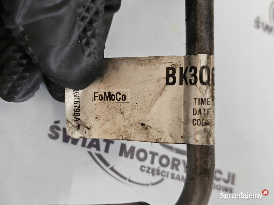 FORD TRANSIT 22 TDCI CYR5 EURO 5 125 przewód osobowe świętokrzyskie