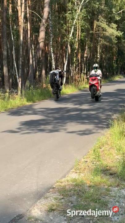 Peugeot speedfight 2 Rychwał sprzedam