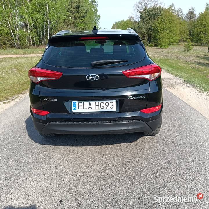 Hyundai Korzeń