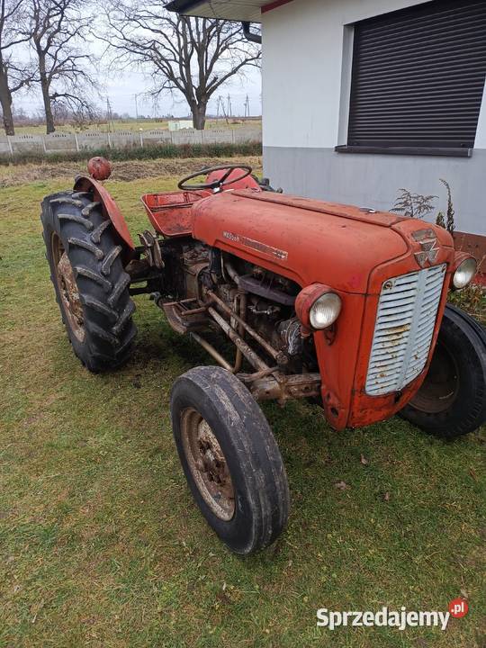Massey Ferguson 35 benzyna