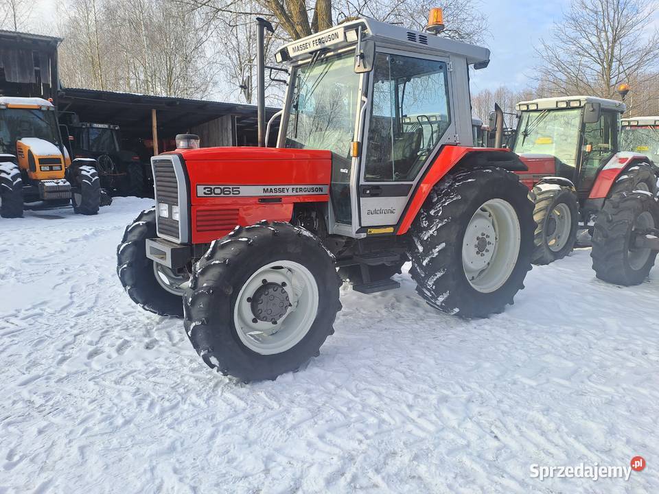 Massey Ferguson 3065 Ruda-Huta