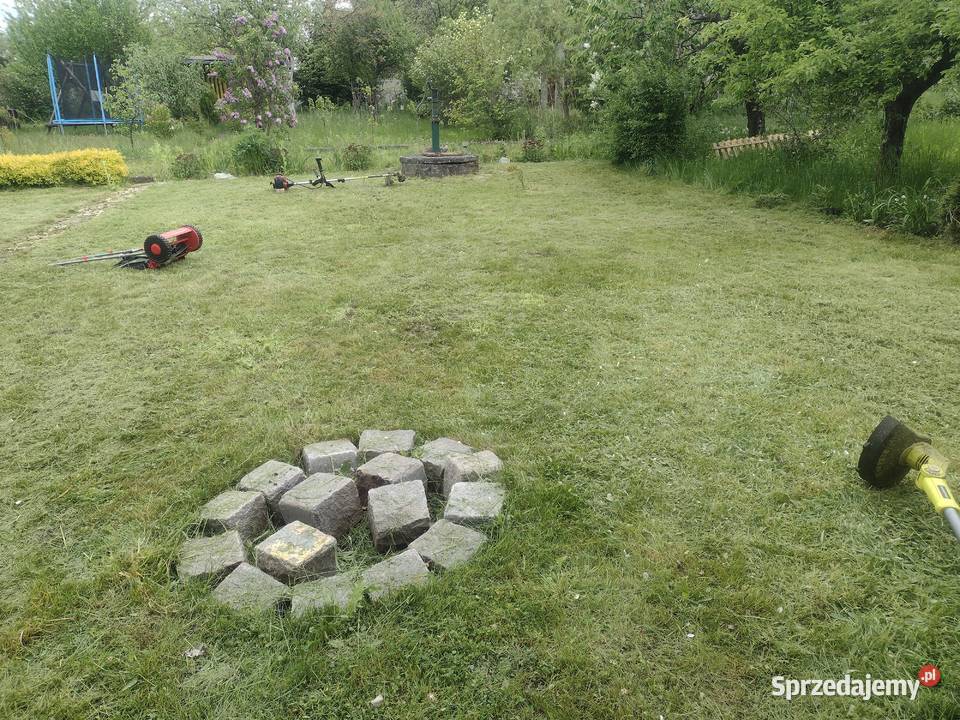 Ogródek działkowy ROD Jedność Wrocław