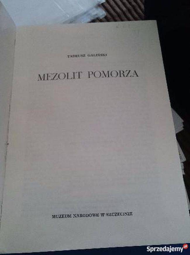 Mezolit Pomorza Galiński Tadeusz Człuchów sprzedam