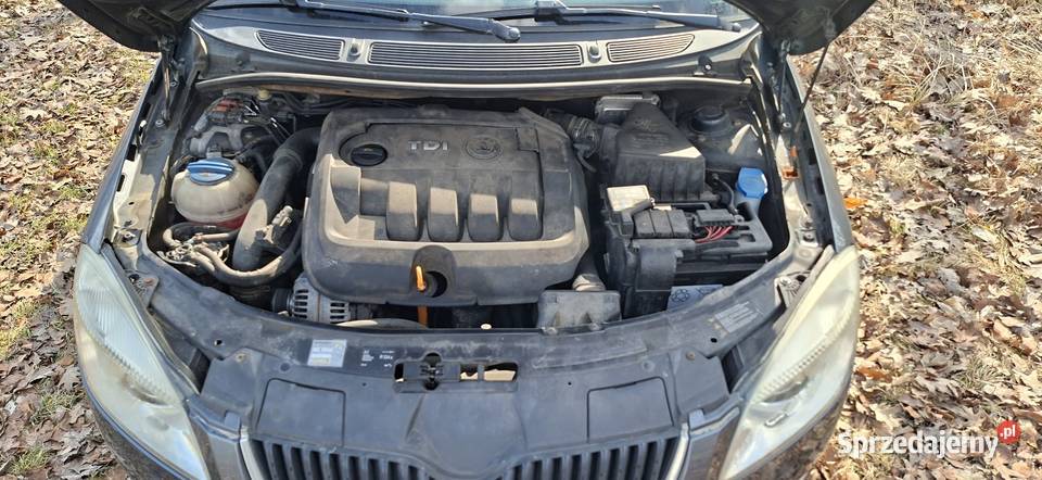 Skoda Roomster 19TDI Bogate wyposażenie bluetooth Kamień Śląski