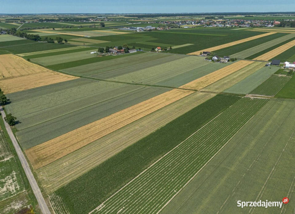 Grunty Rolne 580 Ha Magdalenki Wlkp Klasa III wielkopolskie