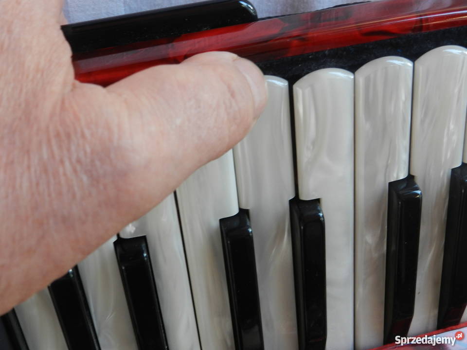 Akordeon włoski Cooperfisa 4 chóry 96 basów Instrumenty klawiszowe i MIDI Instrumenty klawiszowe i MIDI