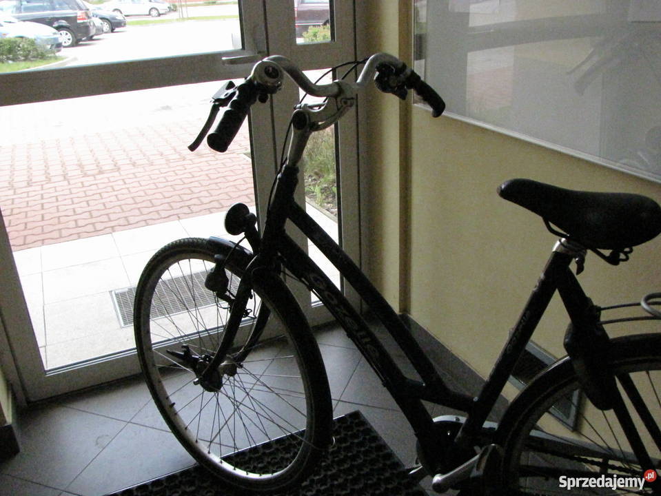 rower gazelle wielkopolskie sprzedam