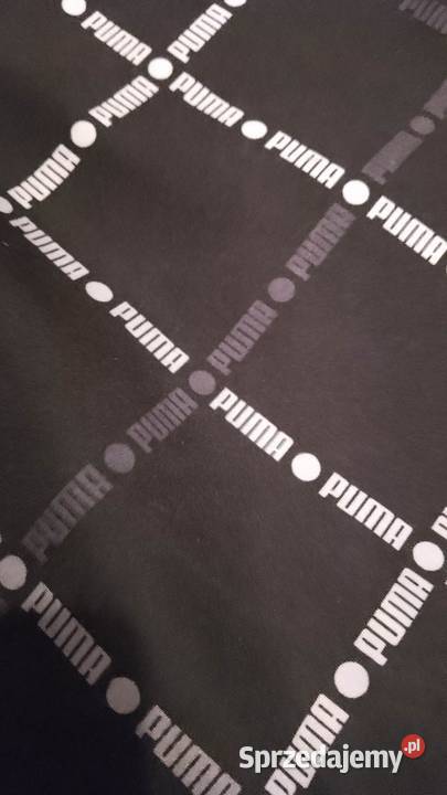 Szorty męskie marki Puma Częstochowa