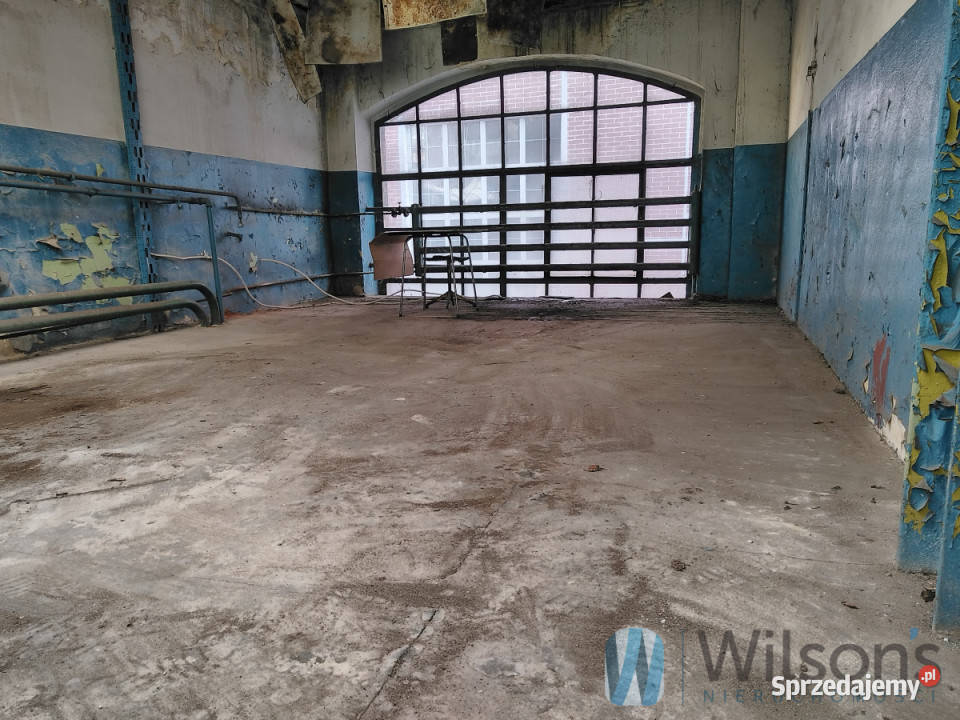 Ogłoszenie lokal Wrocław 825m2 3030zł/m2