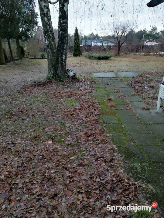 syndyk sprzeda udział w nieruchomości Nieporęt