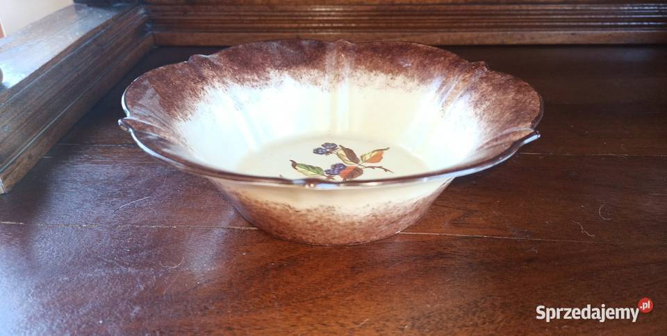 Patera miseczka z gałązką jeżyny w brązach i