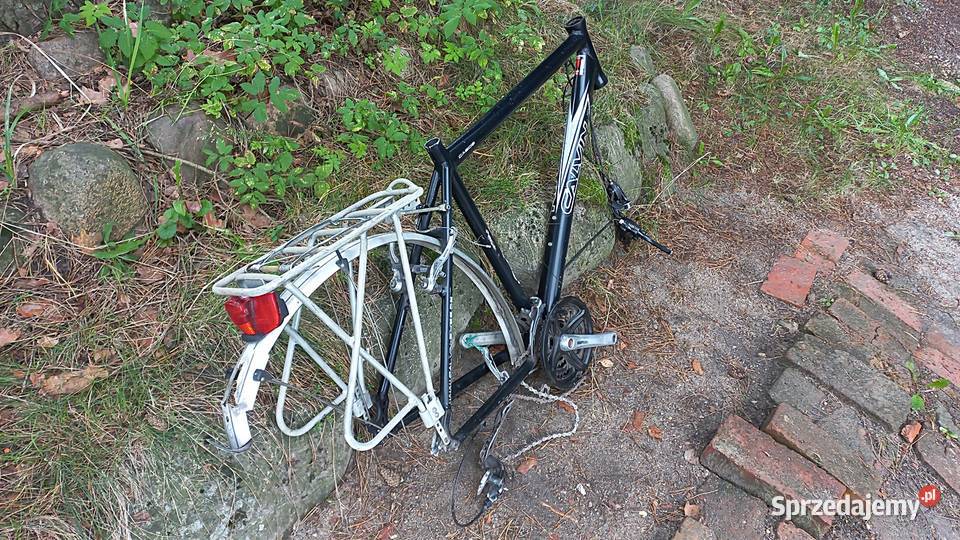 Rama Rowerowa Rower Męski Calvin CA605 Alu 7005 Wołów