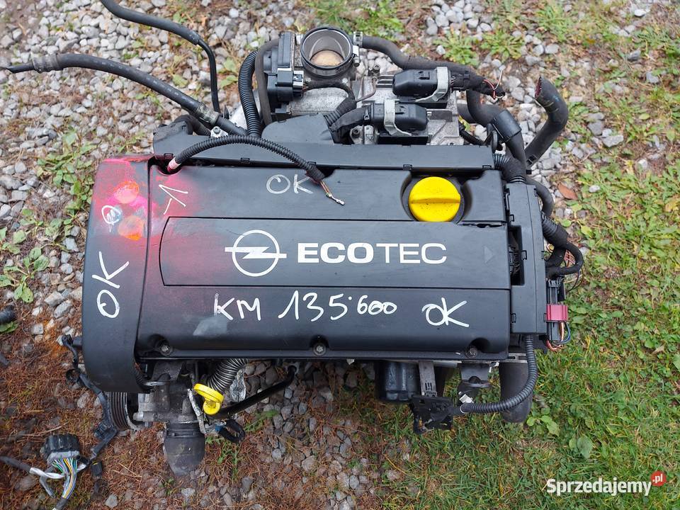Opel Astra H 32 GVectra CZafira BMeriva A silnik Silniki kompletne śląskie Tychy