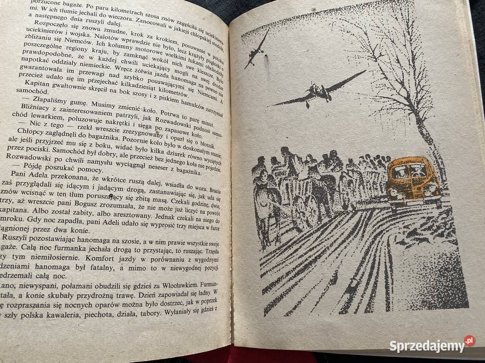 JAREK I MAREK NA TROPIE SZPIEGACezary Lezenski Książki dla dzieci Lublin sprzedam