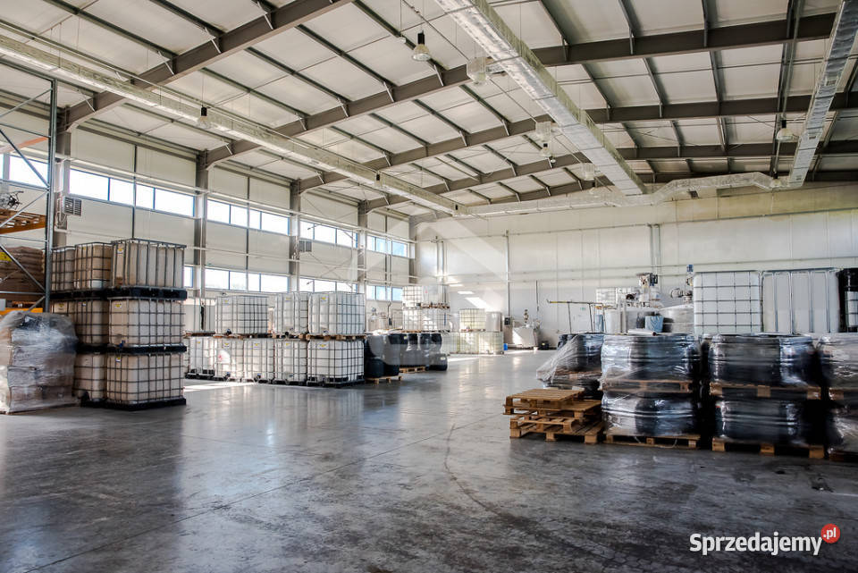 Hala produkcyjna z częścią biurową 1830 m2a Łąka