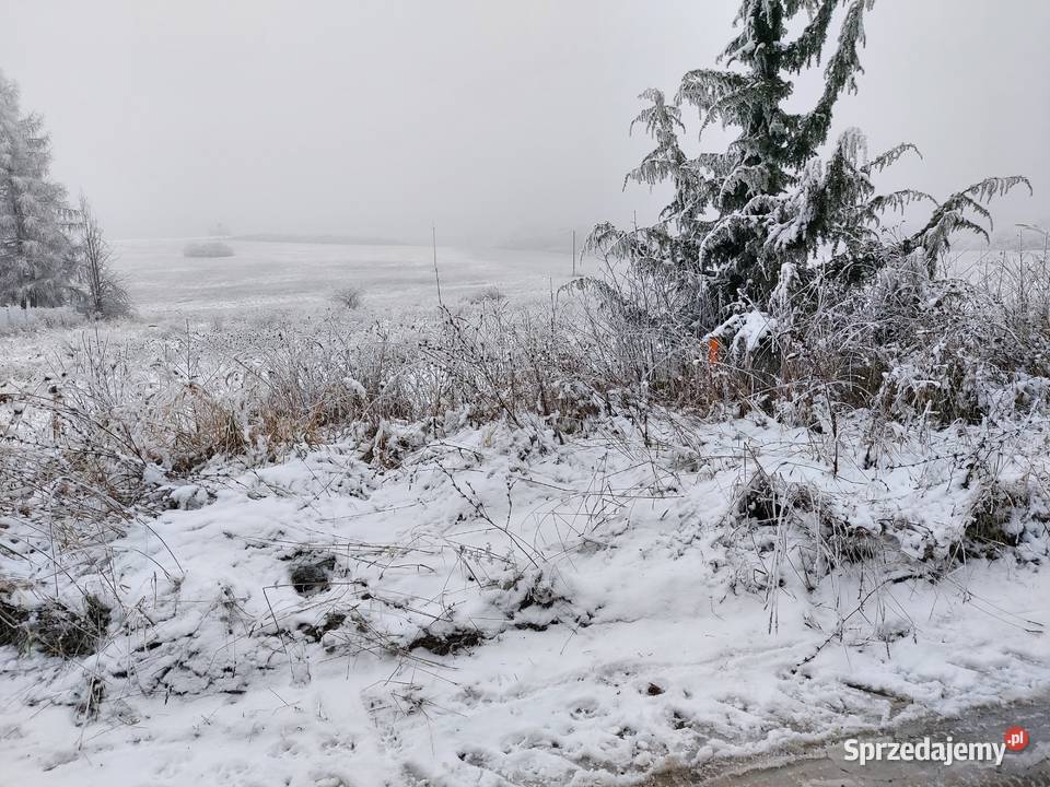 Sprzedam działki budowlane Krasocin