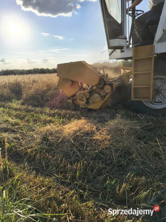 Kombajn Sanok 680 Zbożowe mazowieckie Ostrówiec