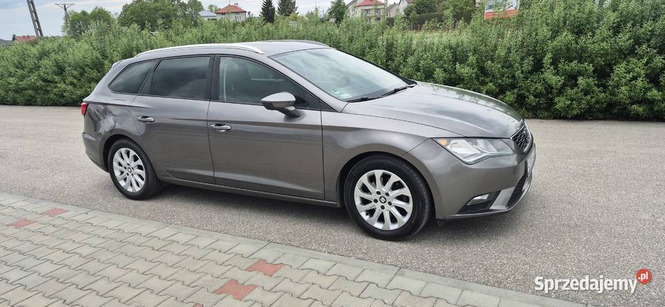 Seat Leon Szczucin
