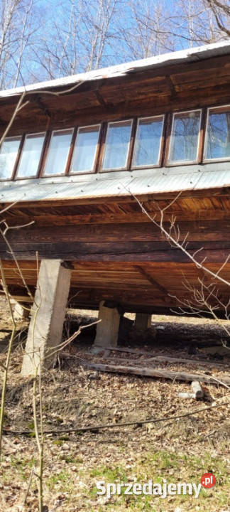 DOMEK W LESIE Targanice sprzedam