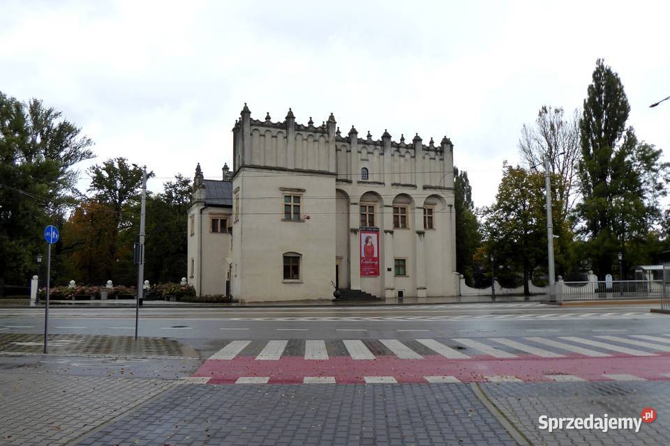 Panasonic Lumix DMCTZ70 30x opt12 Aparaty Pabianice