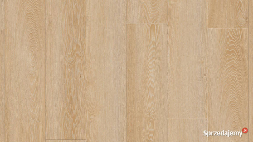 TARKETT Podłoga winylowa Modern Oak Classical Zielona Góra