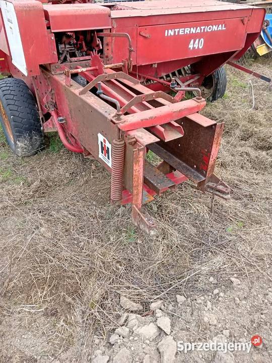 Sprzedam prase kostke