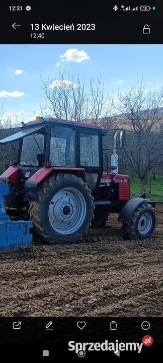 MTZ 82 ts Belarus WOM 540/1000 obr. podkarpackie Sietesz