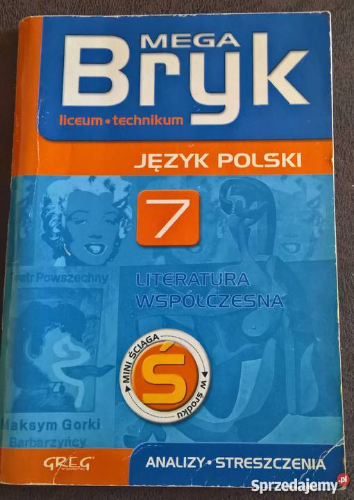 Pozytywizm Synteza epokiJKulikowska