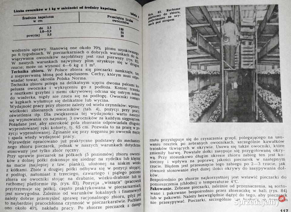 Pieczarka Krystian Szudyga Rok wydania 1984