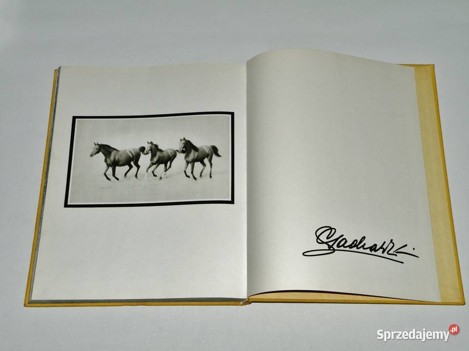 Konie Marian Gadzalski album WSiT 1978 Poradniki, albumy i reportaże kujawsko-pomorskie Bydgoszcz