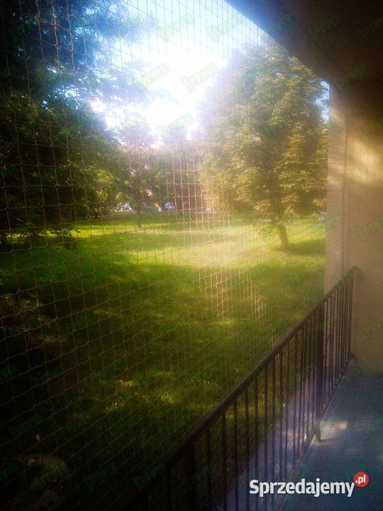 Siatka na balkon kota z montażem Warszawa Siatka Dla zwierząt usługi dla zwierząt