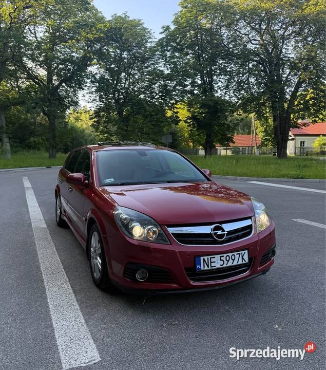 OPEL SIGNUM 19 CDTI 150 2008R Elbląg