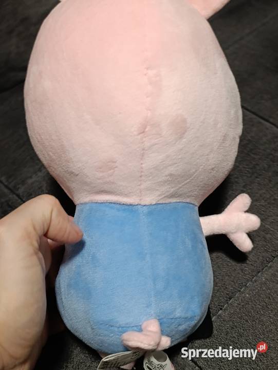 maskotki Świnki Peppy i jej młodszego brata Poznań