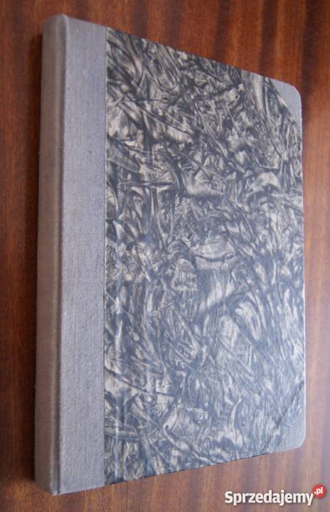 Jerzy E Płomieński W kręgu polskiej irredenty