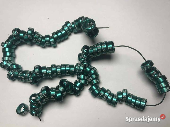 Obrączki drobnej egzotyki papug 26 26 rozmiar Maków Podhalański