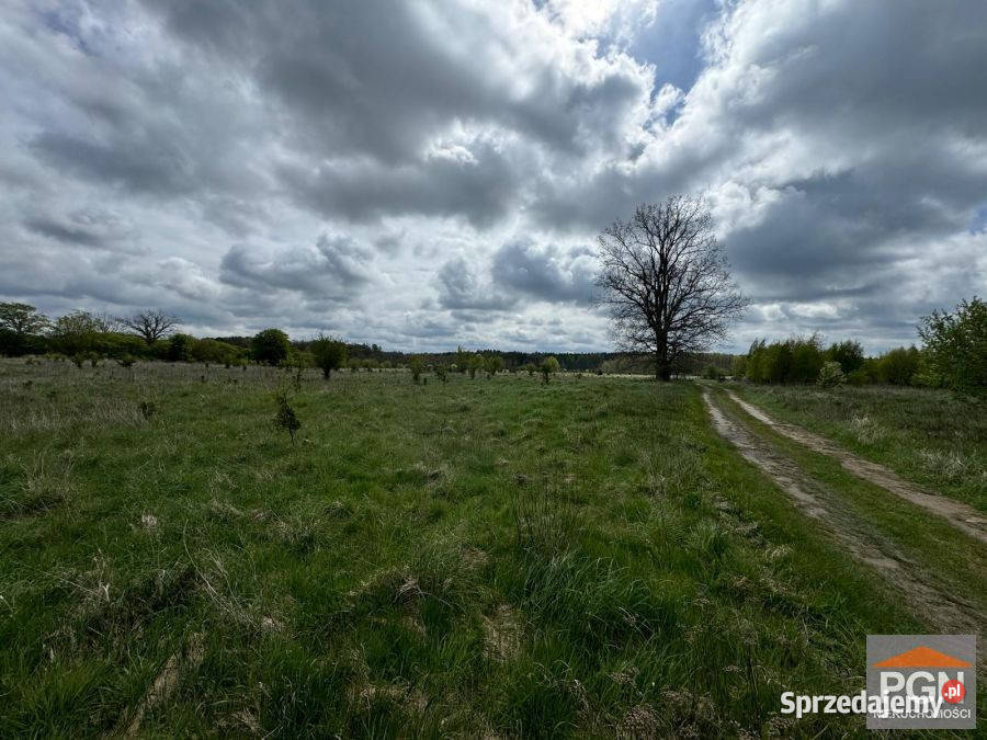 Działka 3000m2 Grębowo zachodniopomorskie