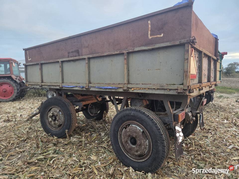 Autosan D44 Ślesin