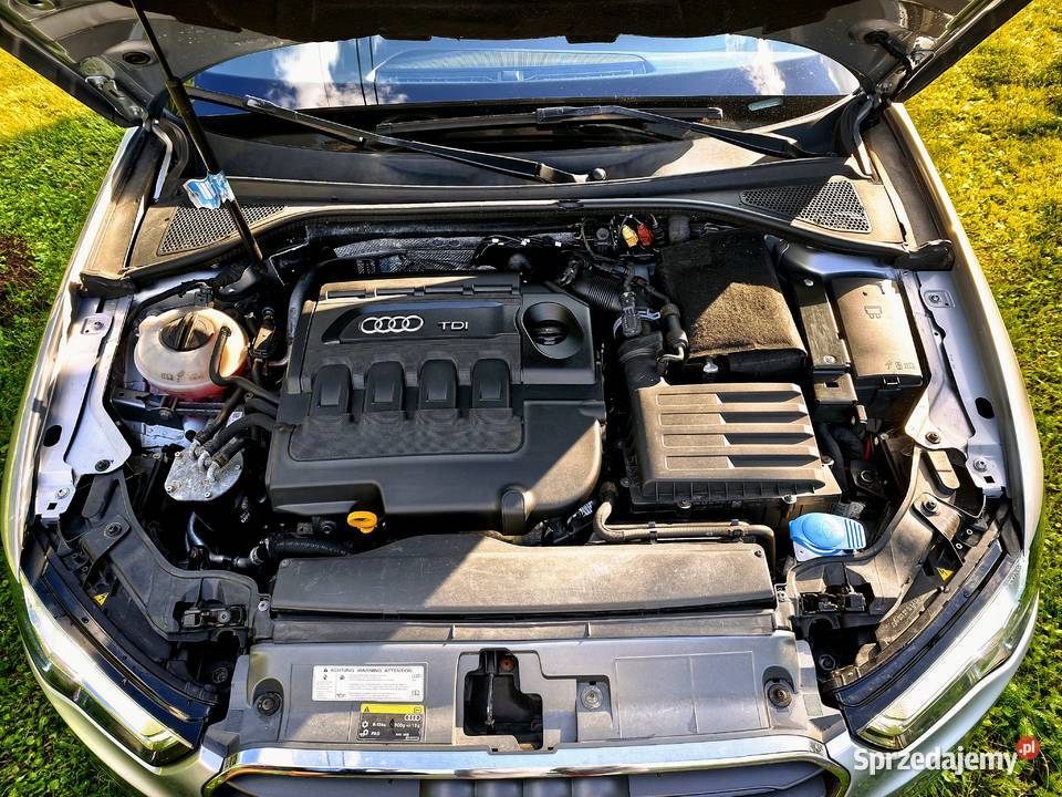 Audi A3 8V 2014 16 TDI 110 3 drzwi LED BiXenon Cieszyn