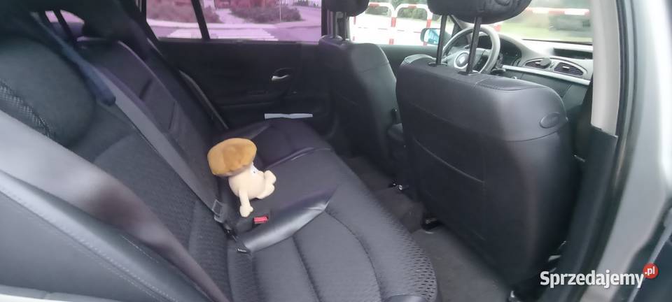 Renault Laguna 2 Szczedrzyk