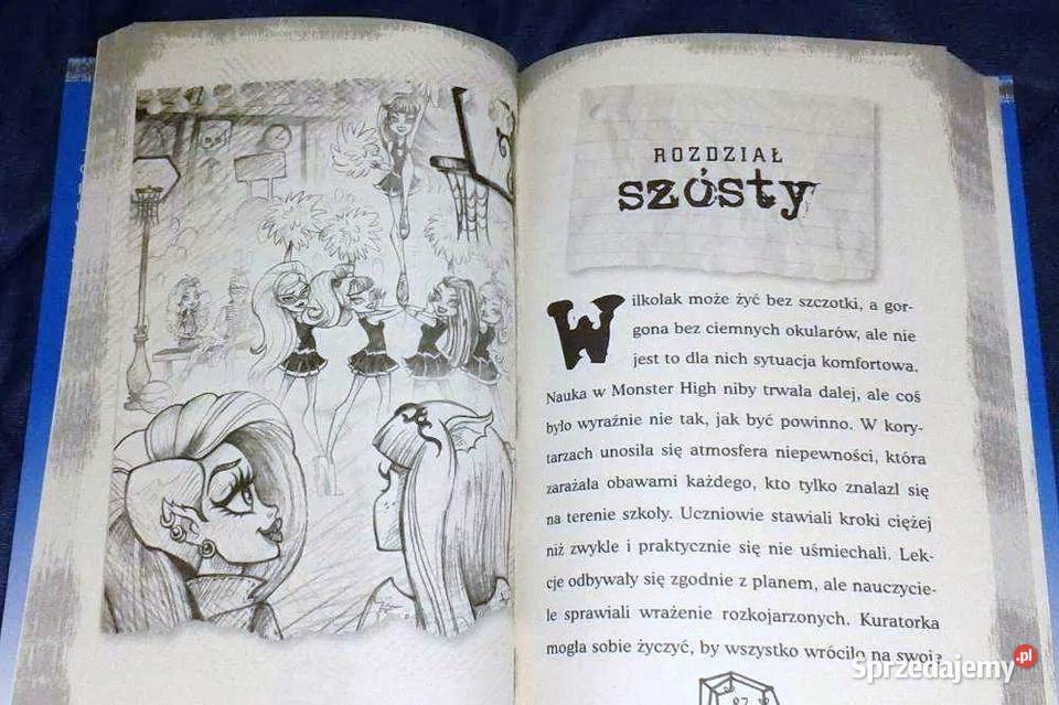 Monster High Przyjaciółki się nie boją miękka lubelskie Chełm