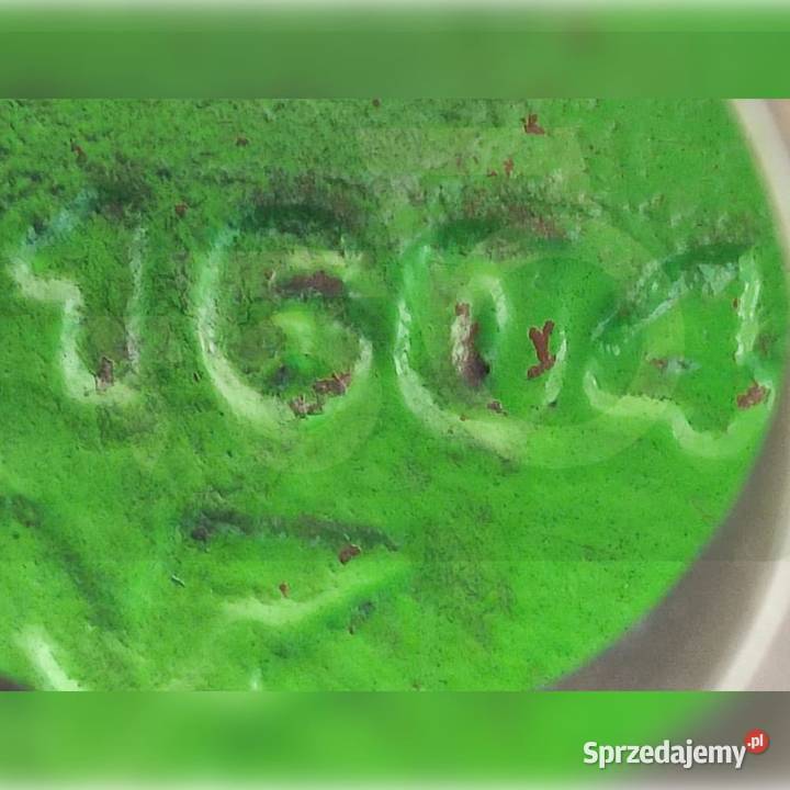 Dyferencjał przedni 061604 Merlo P 559 CS Wilkowo sprzedam
