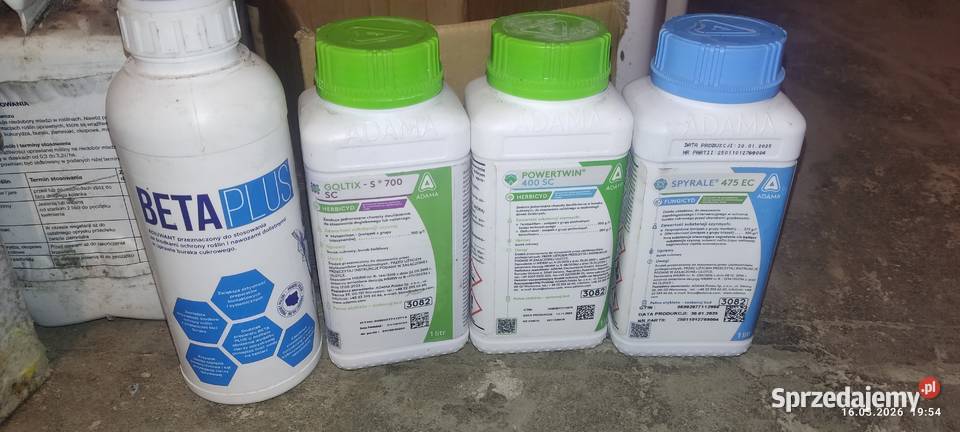 Nasiona buraka cukrowego janetka hunor sprzedam