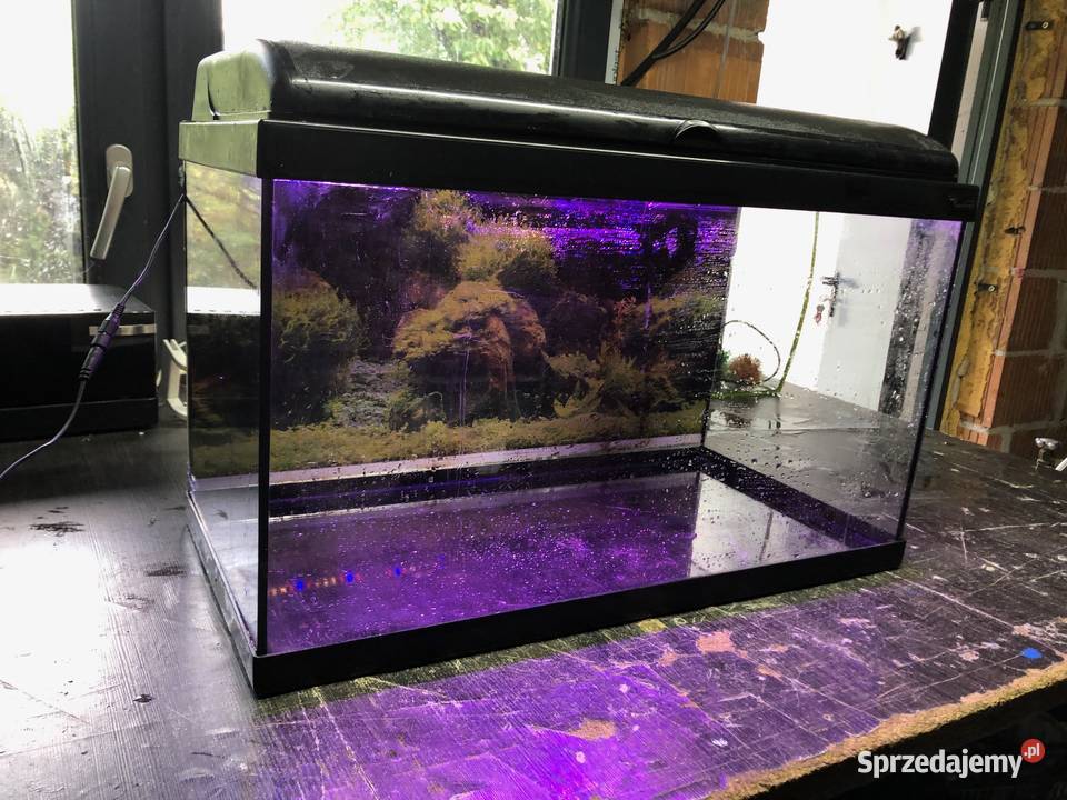 Akwarium 60x30x35 63 L pokrywa Justynów sprzedam