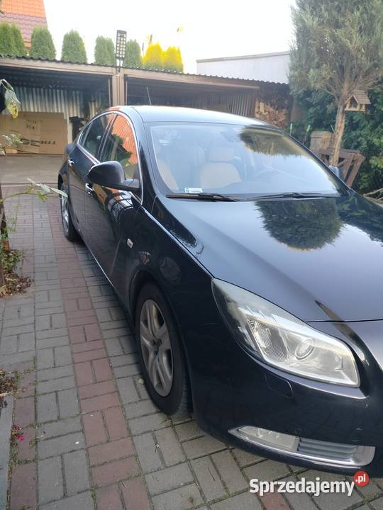 Sprzedam opla insignie