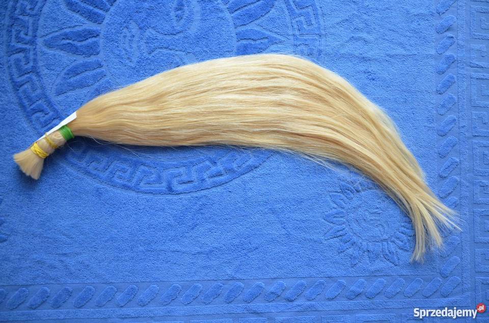 Włosy słowiańskie i dziewicze 51 97 g dolnośląskie Wrocław
