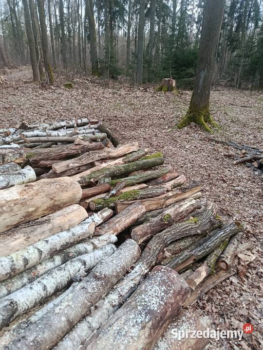 Drewno kominkowe Nowogrodziec