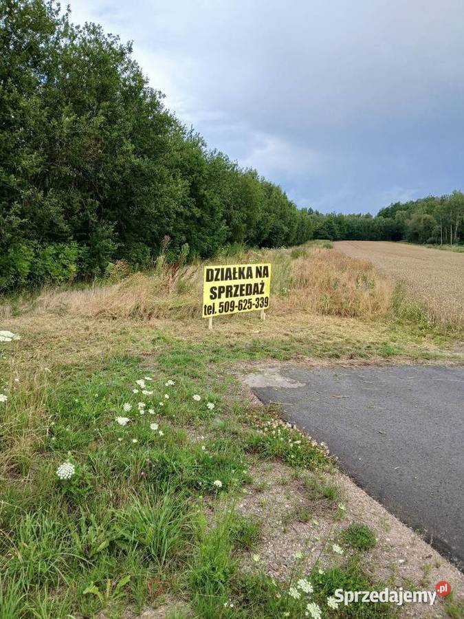 Działka rolna 2900m2 sprzedaż bezpośrednia Hajnówka