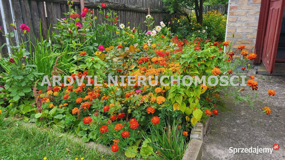 Dom wolnostojący 120m2 Kondratki